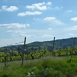 Διαμέρισμα Gaestehaus Annel
