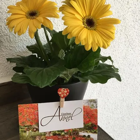 Apartment Gaestehaus Annel *