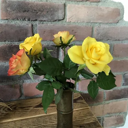 Gaestehaus Annel * Niederhorbach