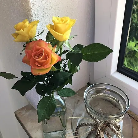 Gaestehaus Annel Daire Niederhorbach