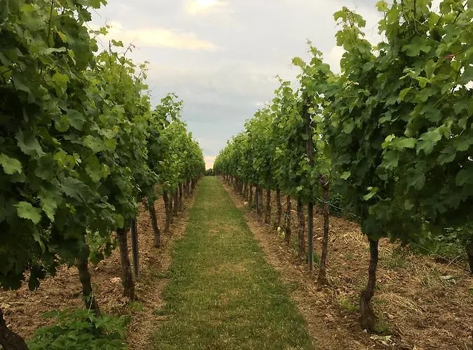 Gaestehaus Annel * Niederhorbach