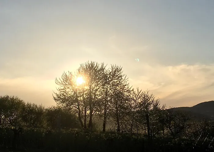 Gaestehaus Annel Apartamento Niederhorbach