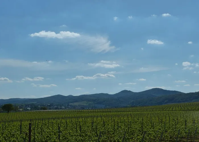 Apartamento Gaestehaus Annel Niederhorbach