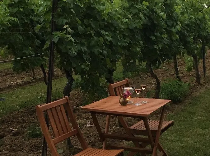 Apartamento Gaestehaus Annel Niederhorbach