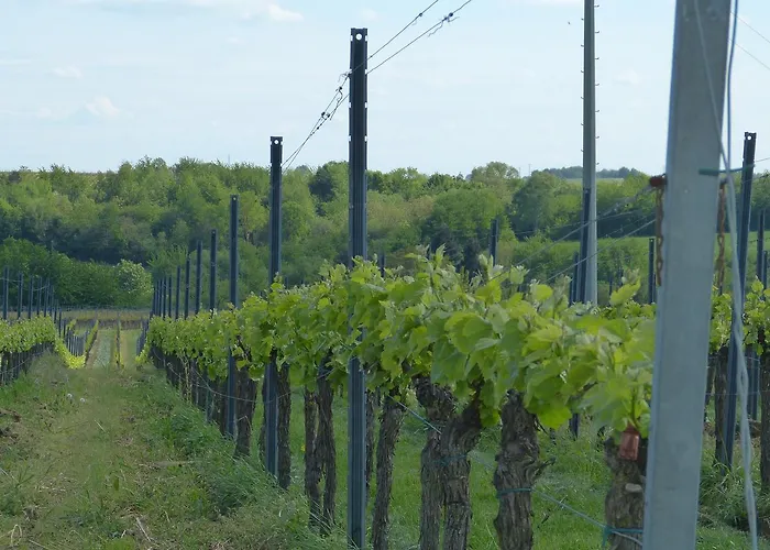 Apartamento Gaestehaus Annel