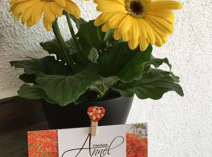 Apartamento Gaestehaus Annel *