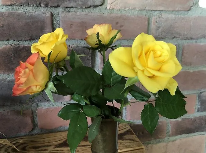 Gaestehaus Annel * Niederhorbach