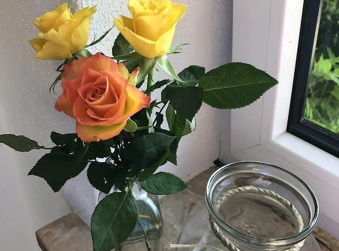 Gaestehaus Annel Apartamento Niederhorbach