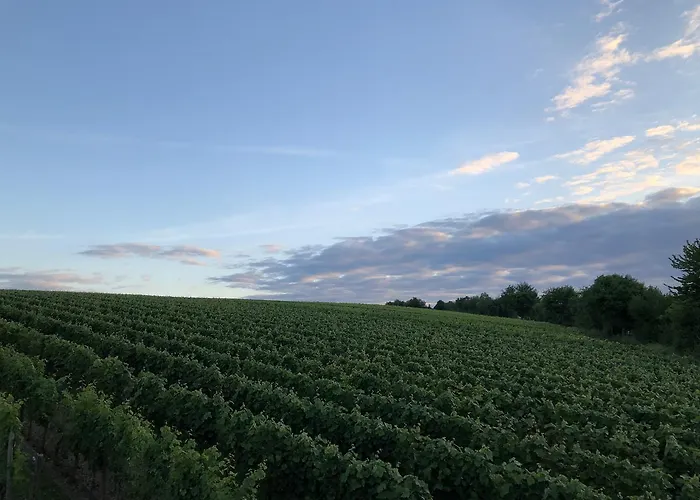 Gaestehaus Annel Apartamento Niederhorbach