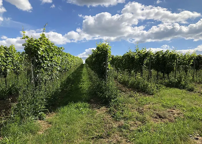 Apartamento Gaestehaus Annel *