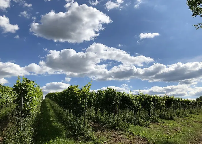 Apartamento Gaestehaus Annel Niederhorbach