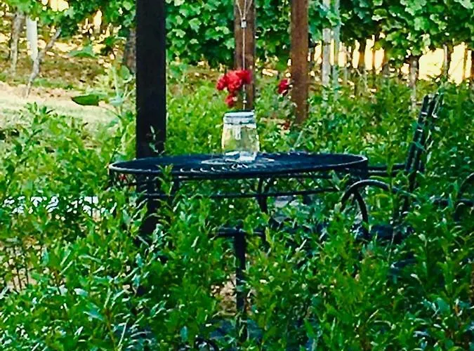 Gaestehaus Annel Apartamento Niederhorbach